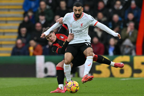 发展出了一 发展出了一